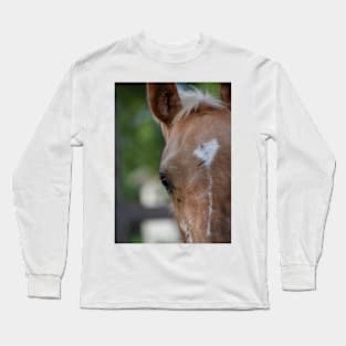 TB COLT Long Sleeve T-Shirt